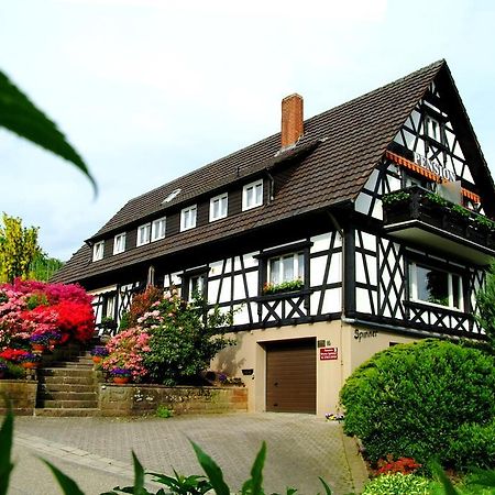 Pension Am Weinberg Sasbachwalden Buitenkant foto