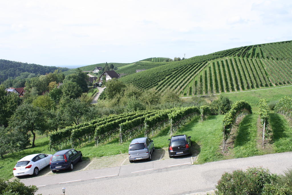 Pension Am Weinberg Sasbachwalden Buitenkant foto